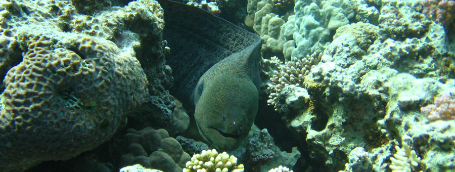 imagen de aviso legal