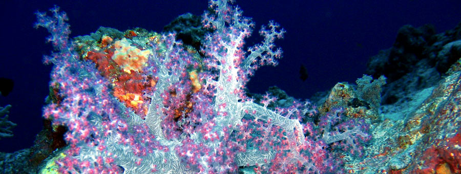 imagen de info general