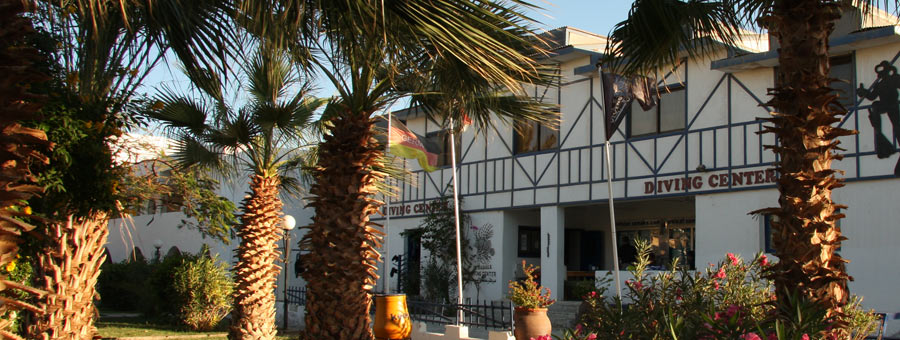 imagen de quiénes somos